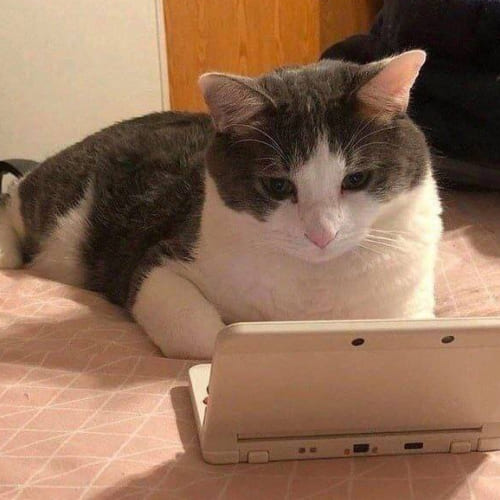 Кот за ноутбуком